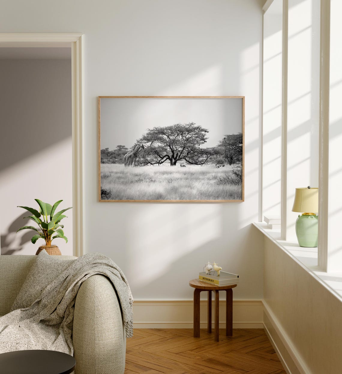 Somalia Giraffe Under Acacia Tree Savanna Black and White Poster - Image 5