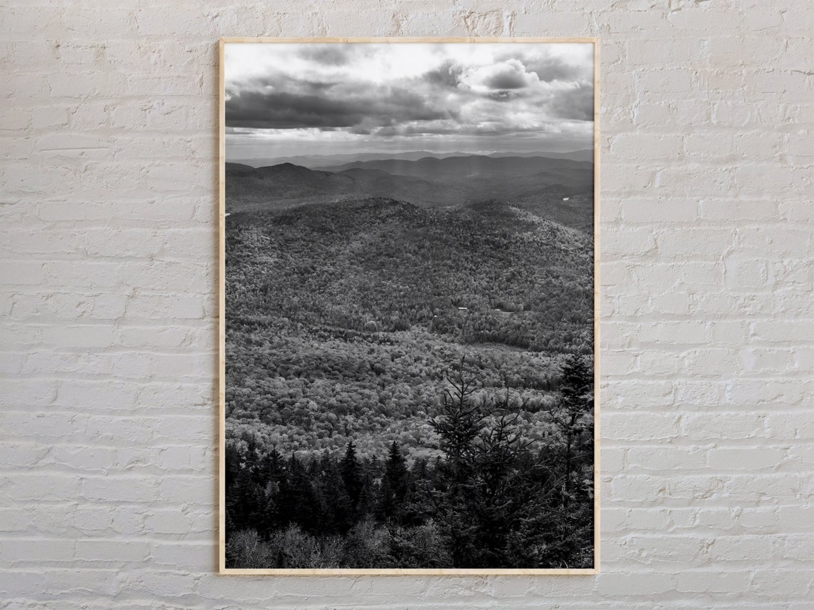 Black And White Forest Mountains Layered Peaks Photo Art Print