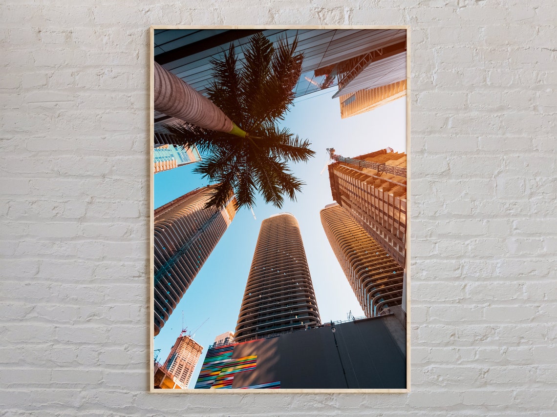 Miami Florida Downtown Skyscrapers Palm Trees City View Poster