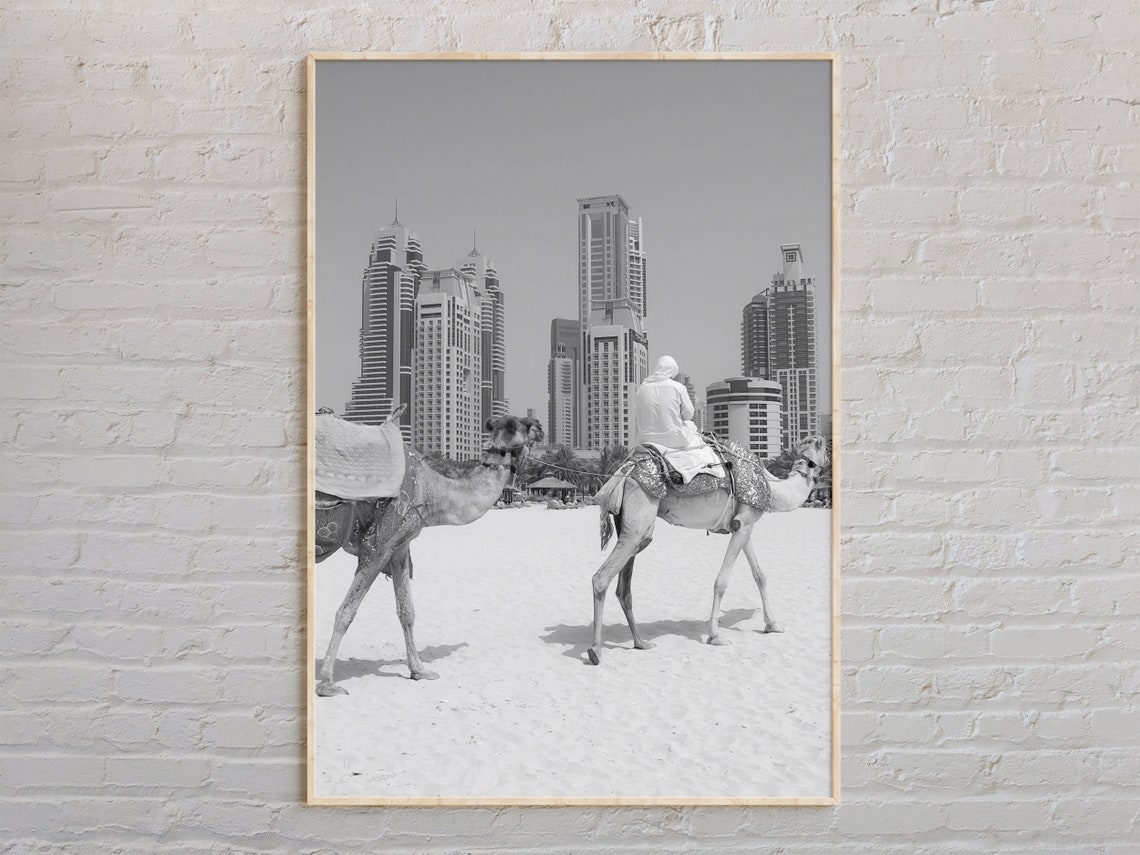 Black And White Dubai Camels On Sandy Beach Skyline Photo Poster