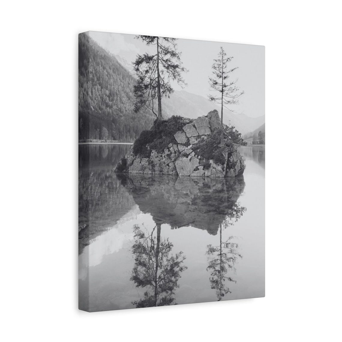 Black and White Rocky Island Lake Reflection Serene Photo Poster