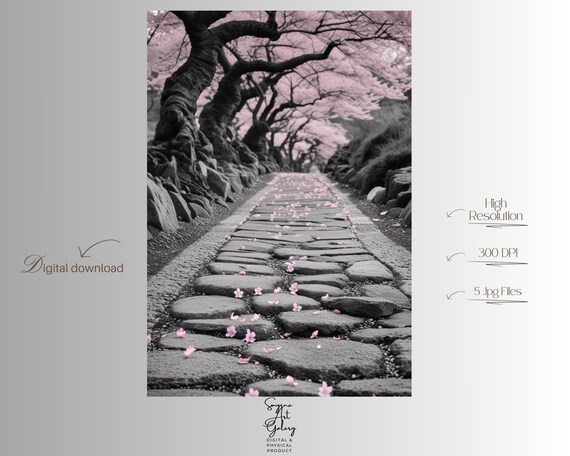 Cherry Blossom Stone Path Pink Selective Color Serene Photo Poster