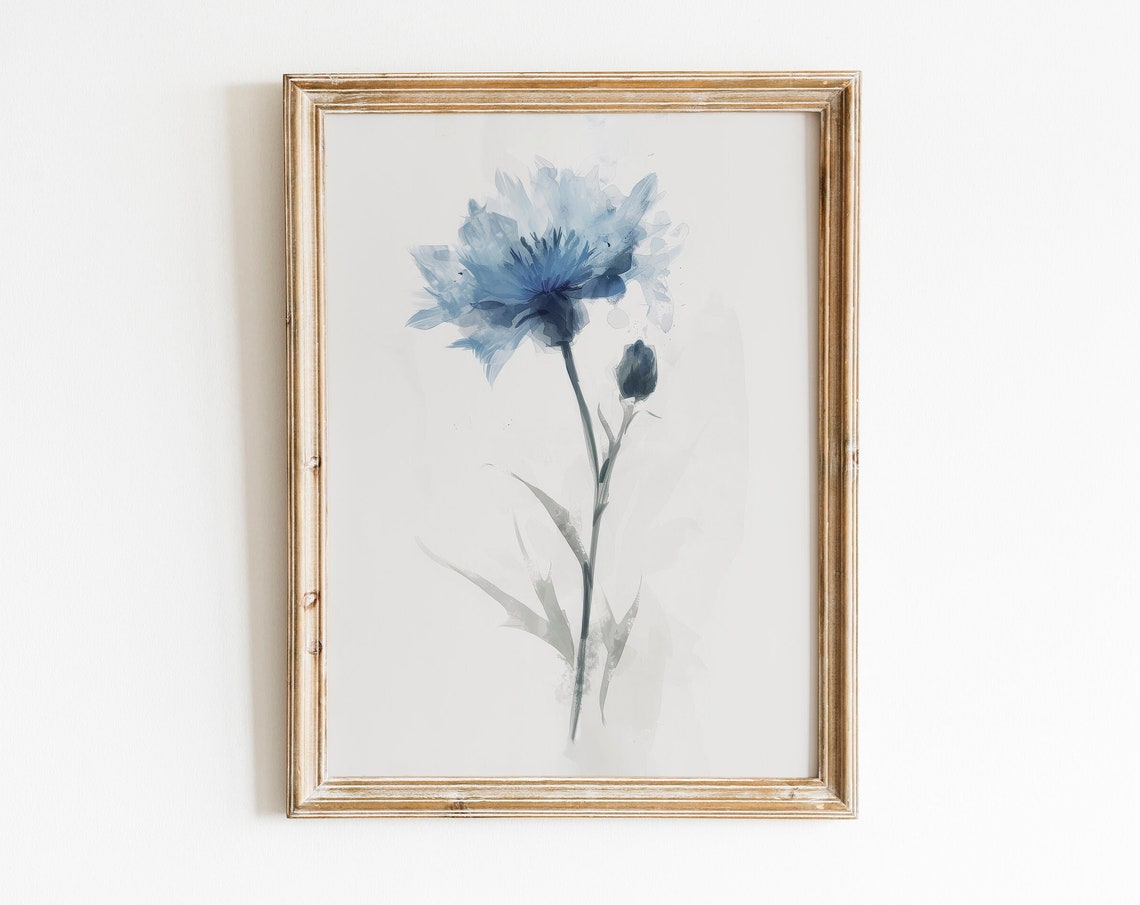 Blue Cornflower Watercolor Delicate Botanical Floral Wall Poster