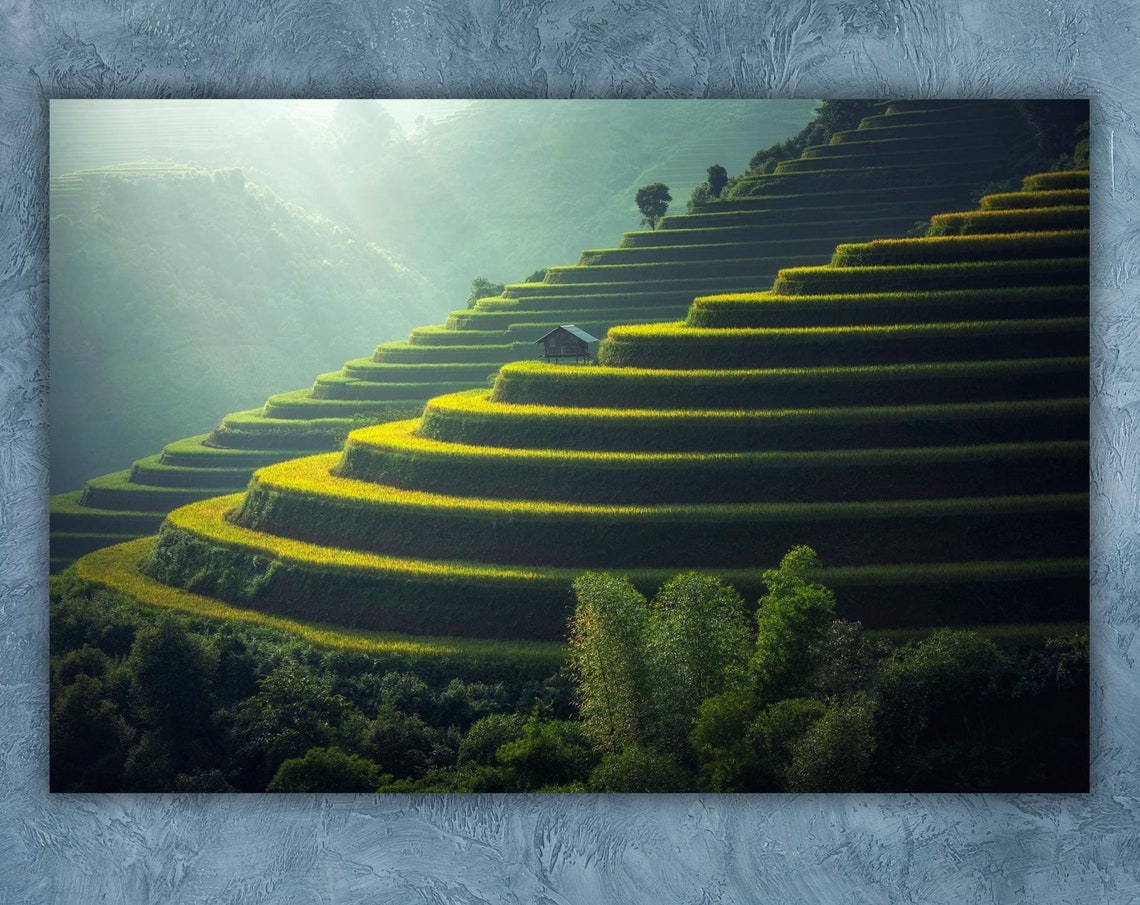 Vietnam Terraced Rice Fields Green Landscape Nature Photography Poster
