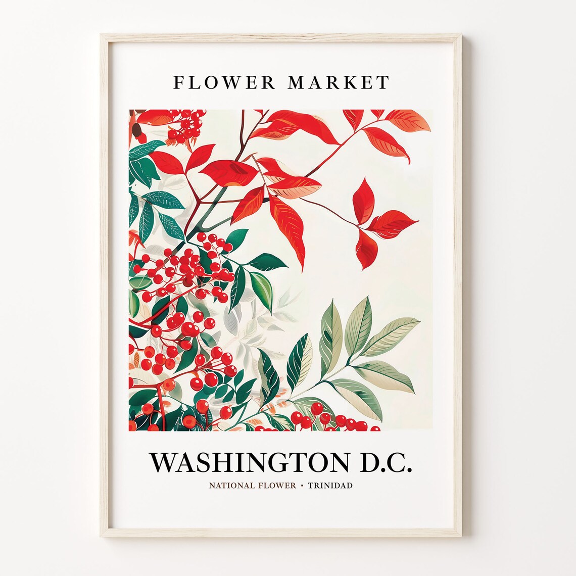 Washington DC Trinidad Flower Market Red Berry Botanical Poster