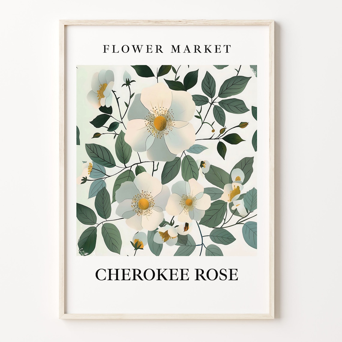 Cherokee Rose Flower Market Botanical Illustration Art Poster