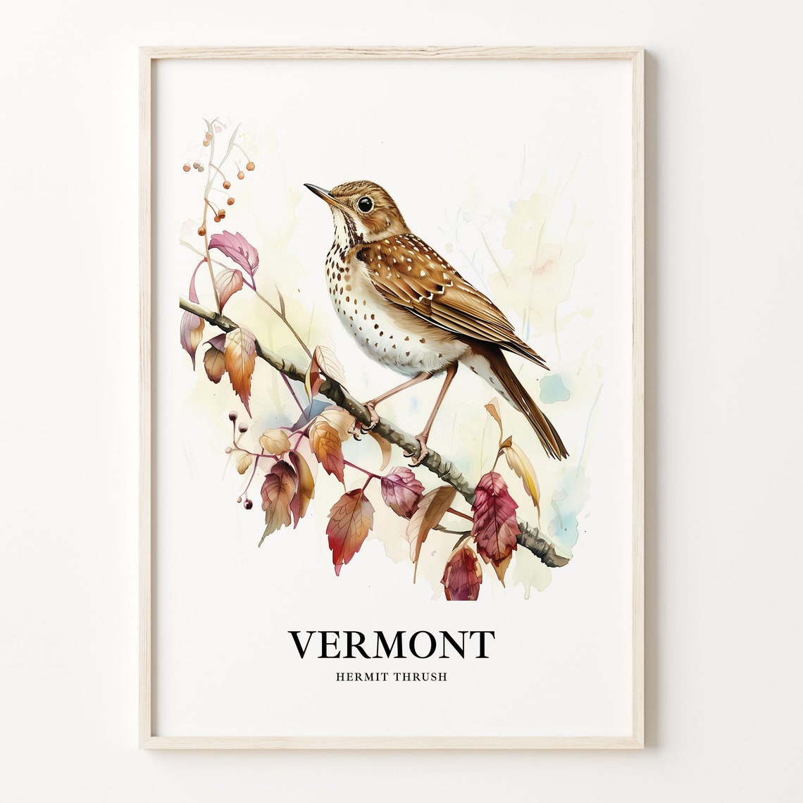 Charming Vermont Hermit Thrush Watercolor Bird Illustration Poster