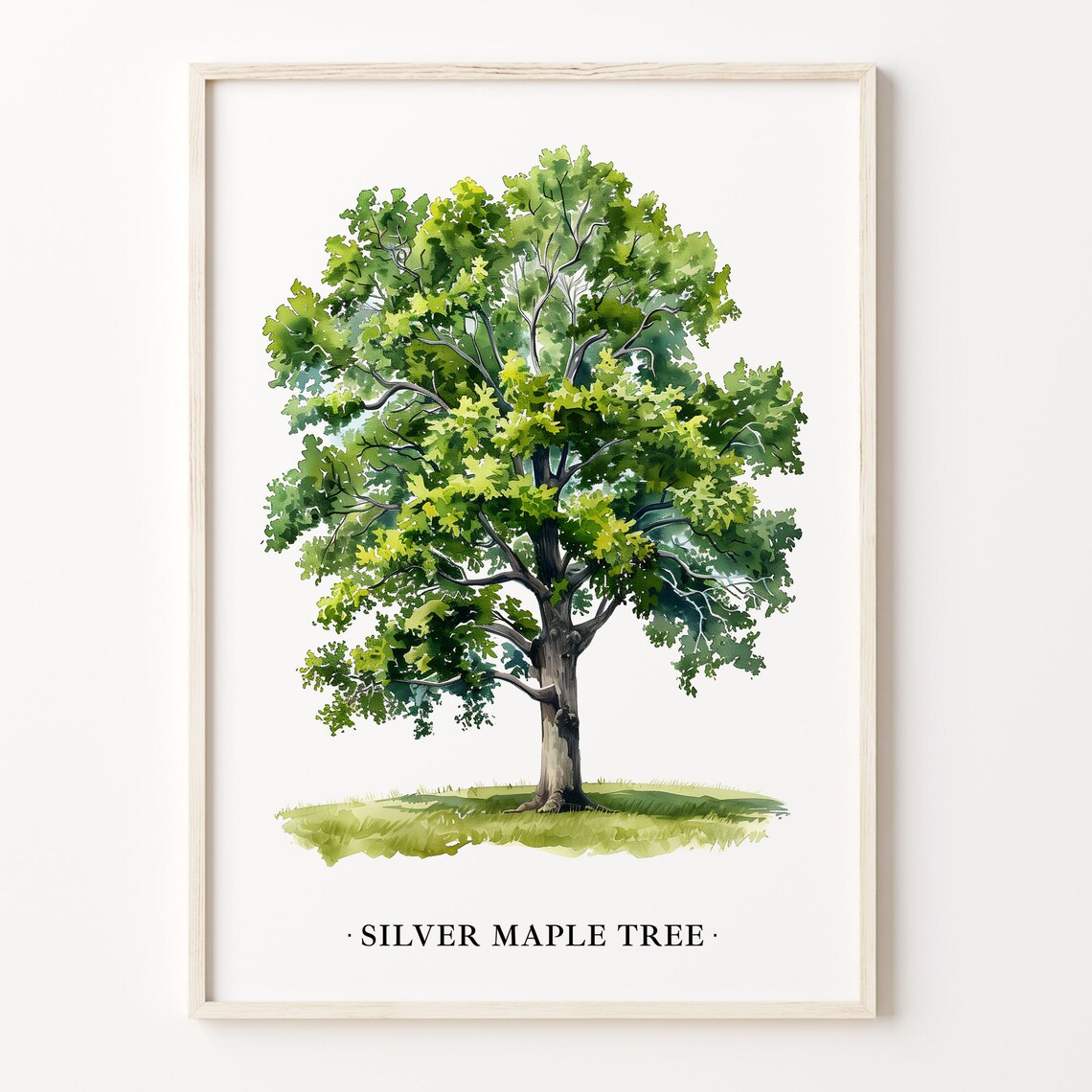 Silver Maple Botanical Art Print, Nature Decor