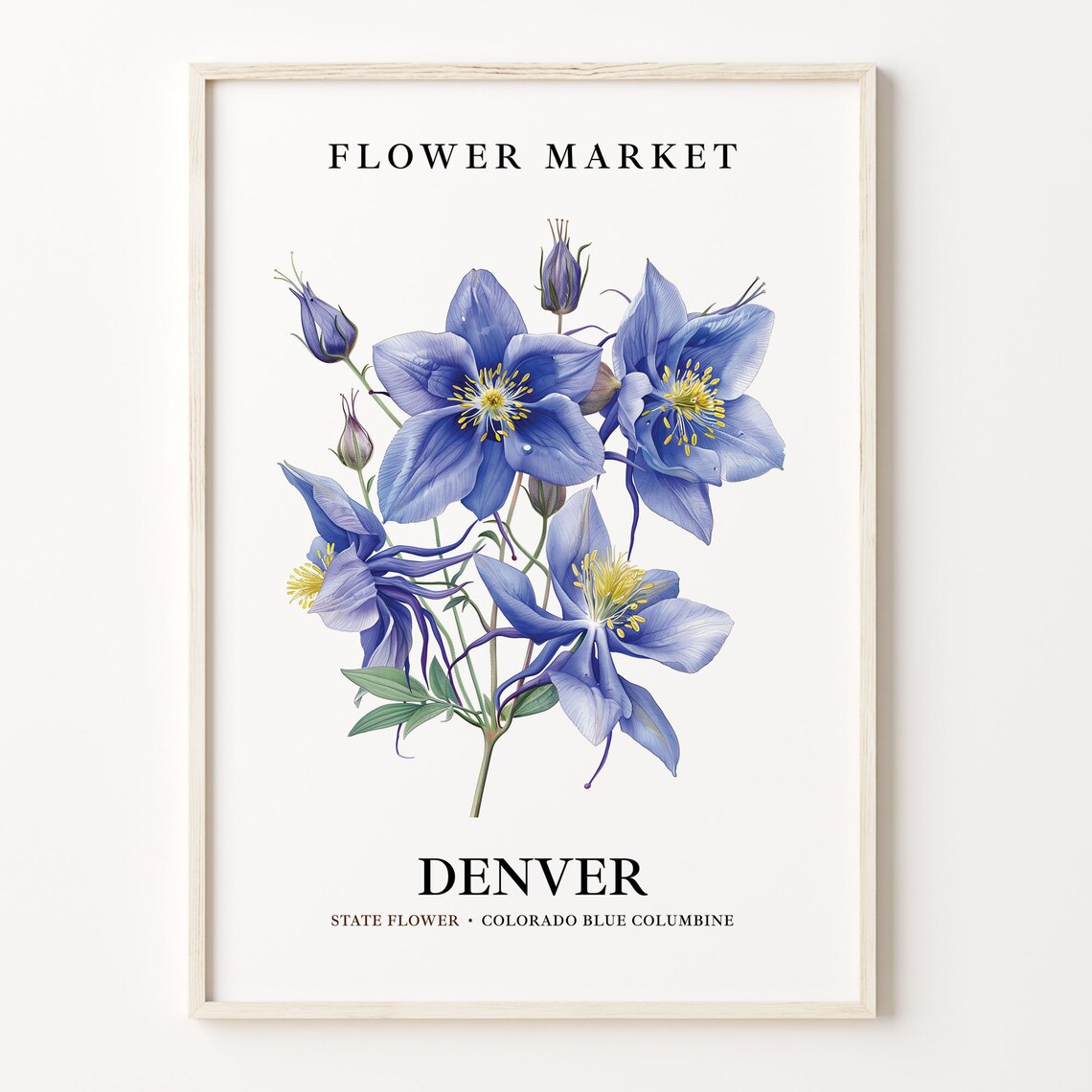 Denver Blue Columbine Wildflower Botanical Flower Market Poster