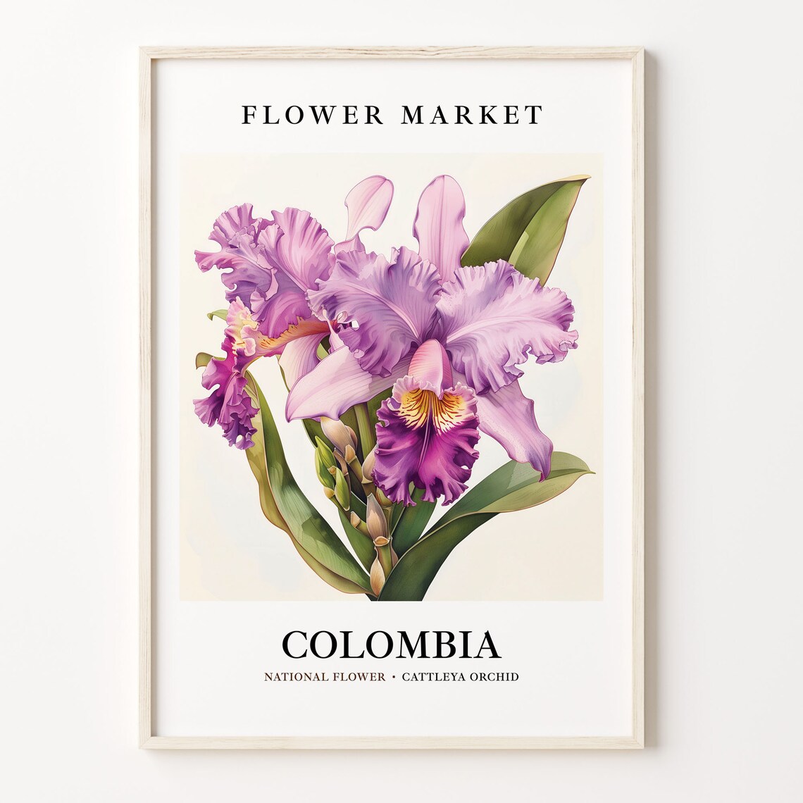 Cattleya Orchid 1960s Botanical Poster Print