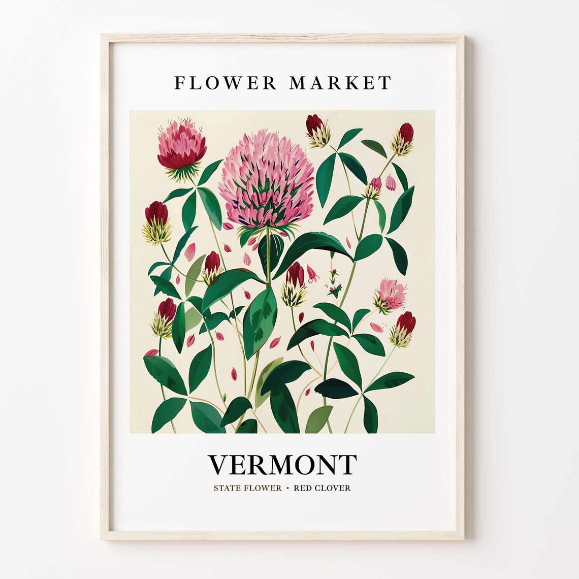 Vermont State Flower Red Clover, 1960s Botanical Art Print