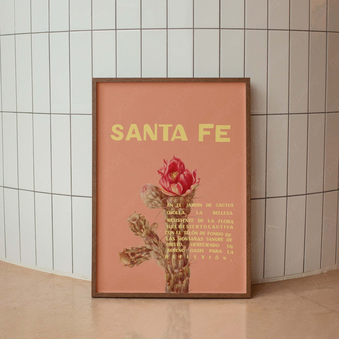 Santa Fe Cholla Cactus Flower Spanish Desert Photography Poster