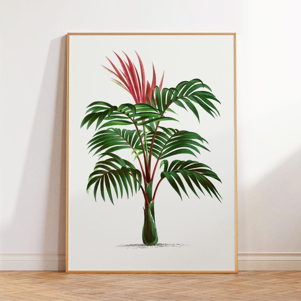 Vintage Palm Botanical Illustration Red Frond Tropical Wall Poster - Image 2