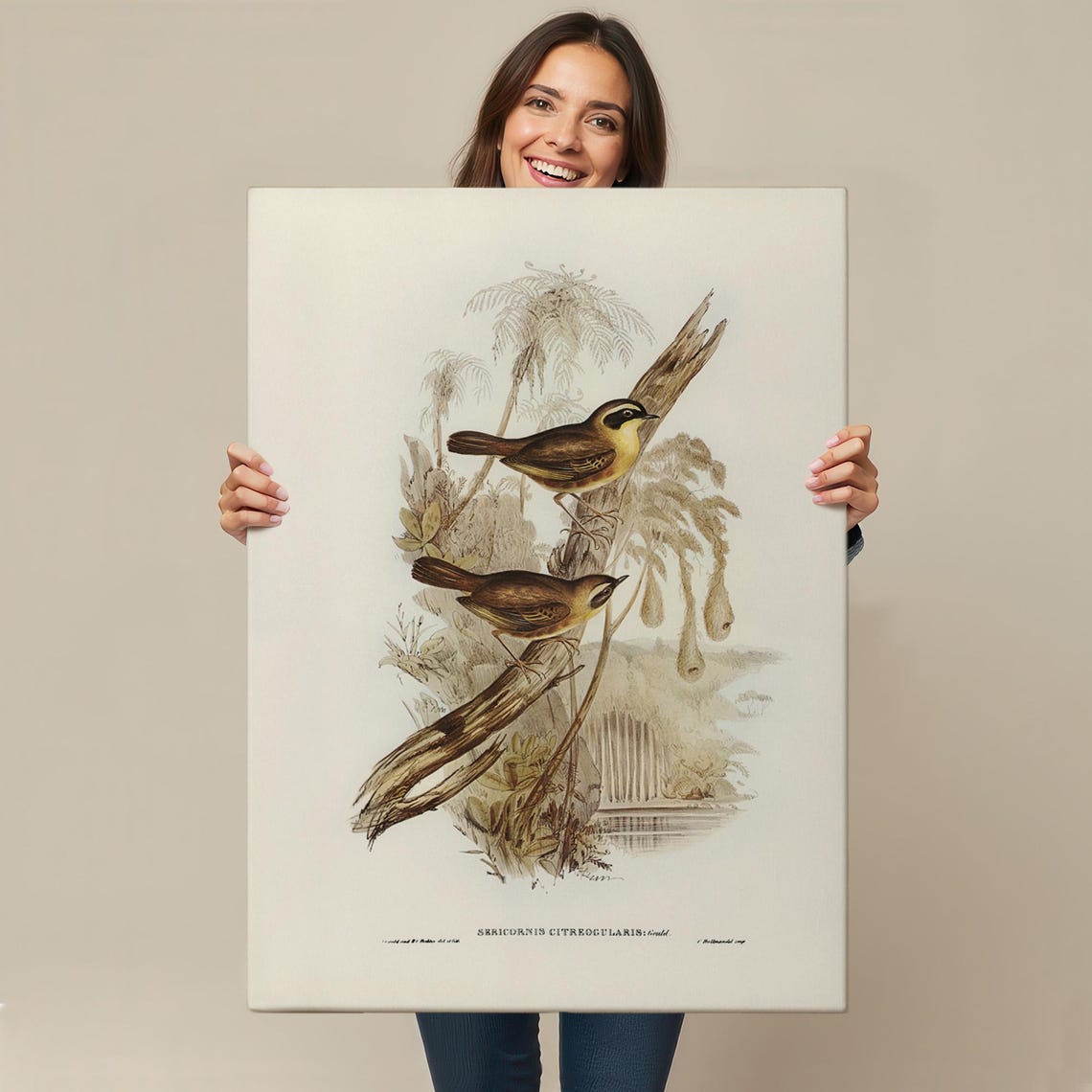 Vintage Songbird Ornithology Illustration Classic Bird Study Art Print - Image 4