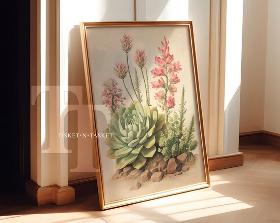 Blooming Echeveria Succulent Botanical Illustration Pink Art Print