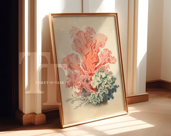 Coral And Seaweed Underwater Ocean Botanical Vintage Style Simple Drawing Neutral Wall Art