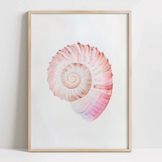 Pink Nautilus Shell Watercolor Coastal Beachy Elegant Art Poster