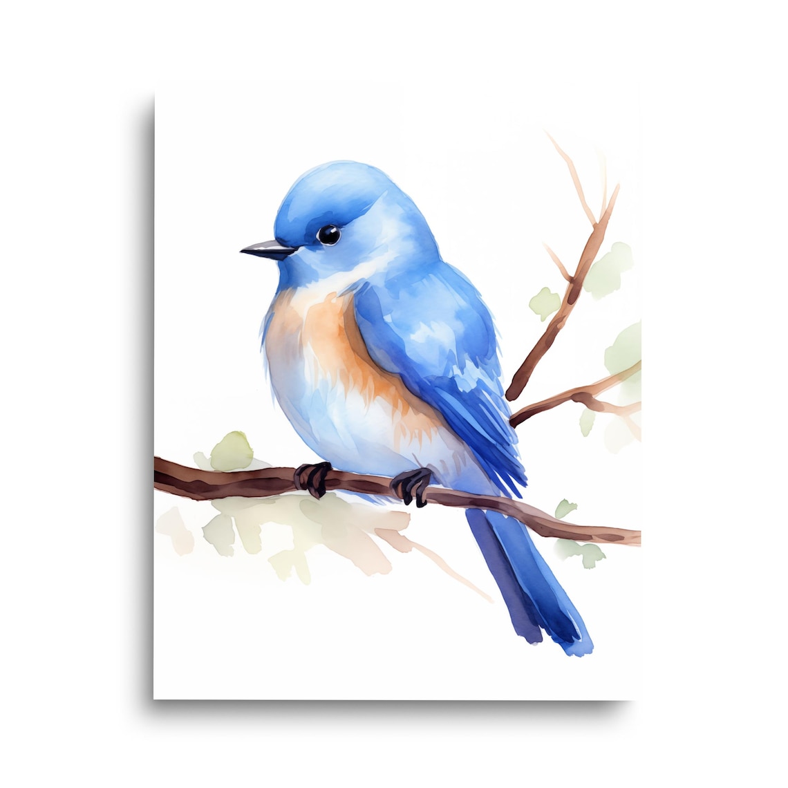 Eastern Bluebird Watercolor Songbird Perched On Branch Poster