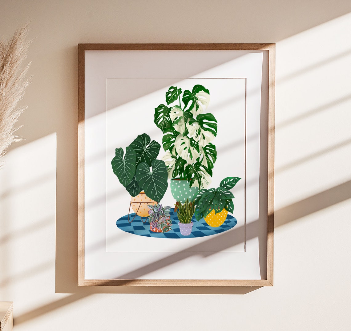 Variegated Monstera Houseplant Collection On Blue Checkered Rug Poster