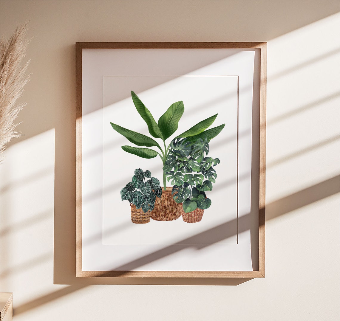 Banana Monstera Trio In Wicker Baskets Watercolor Botanical Poster