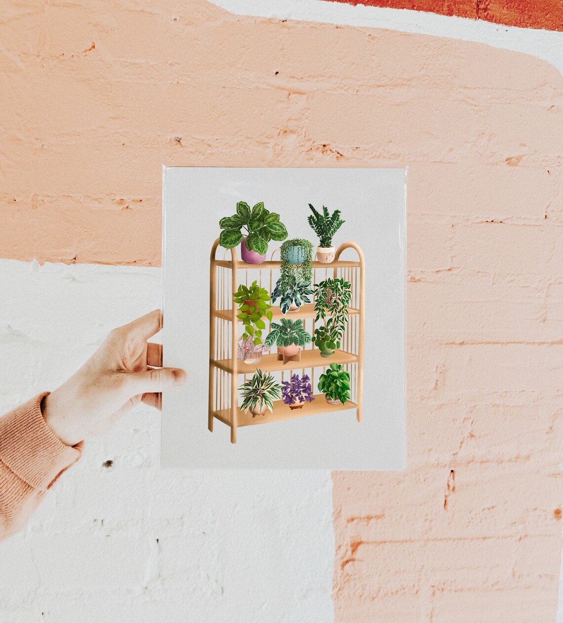 Lush Houseplant Shelf Illustration On Rattan Rack Botanical Poster
