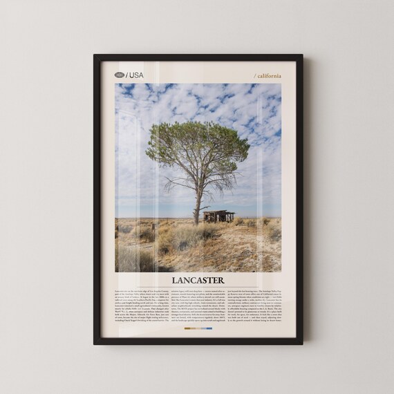 Lancaster Print Wall Art Poster Photo Antelope Valley Poppy Reserve The Blvd
