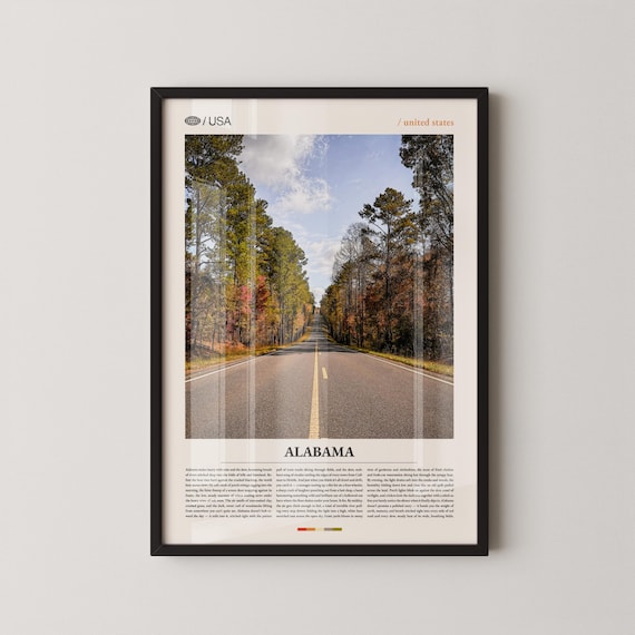 Alabama Southern Pine Forest Road Vintage Travel Photo Wall Art