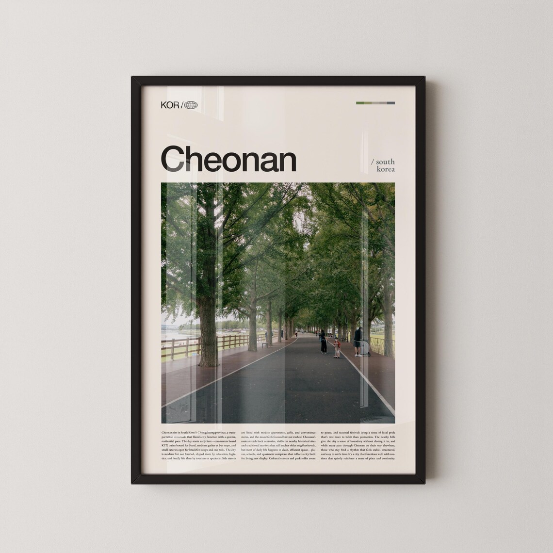 Cheonan South Korea Tree Lined Promenade Travel Photo Poster