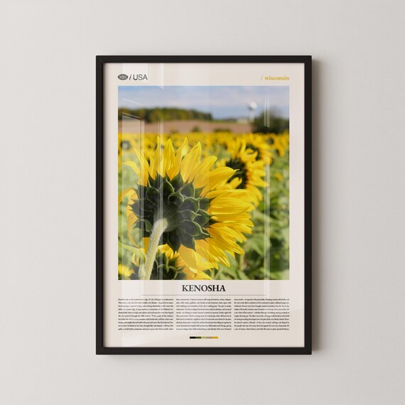 Kenosha Wisconsin Sunflower Field Modern Travel Guide Poster