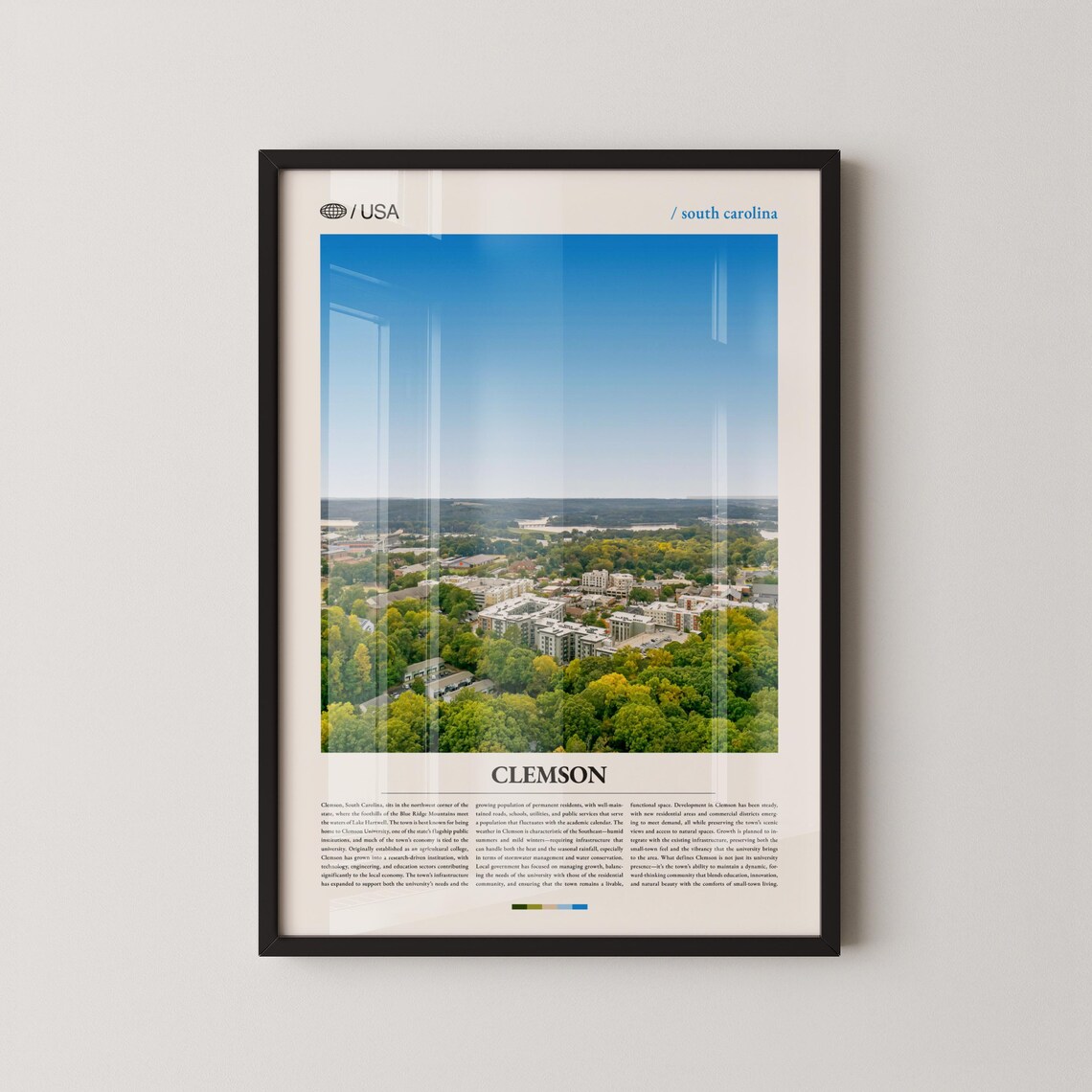 Clemson South Carolina Aerial Leafy College Town Travel Poster