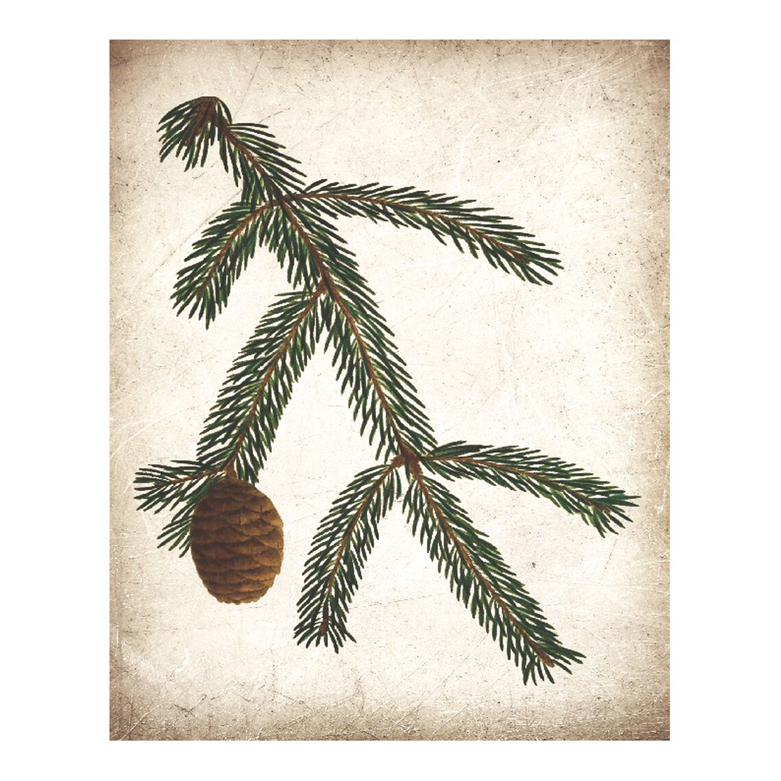 Vintage Pine Cone Rustic Nature Art Print - Image 4