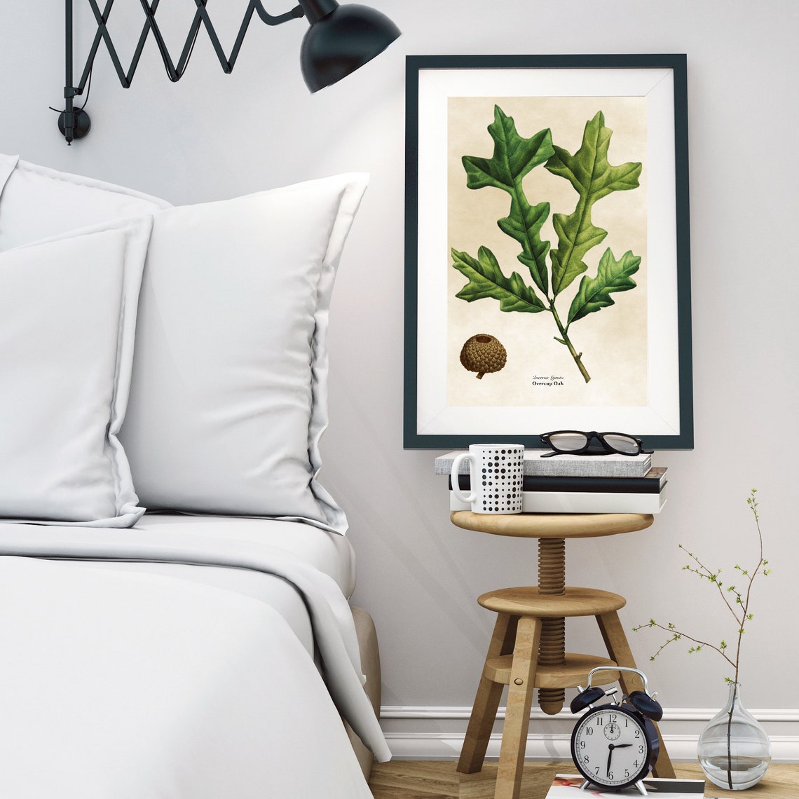 Vintage Overcup Oak Botanical Illustration Lobed Leaf Acorn Poster - Image 3