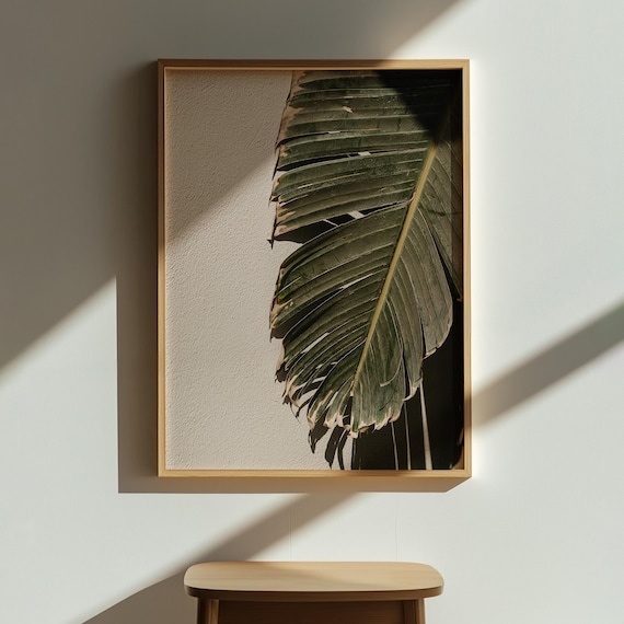 Banana Leaf Shadow Photography Poster Tropical Botanical Wall Decor