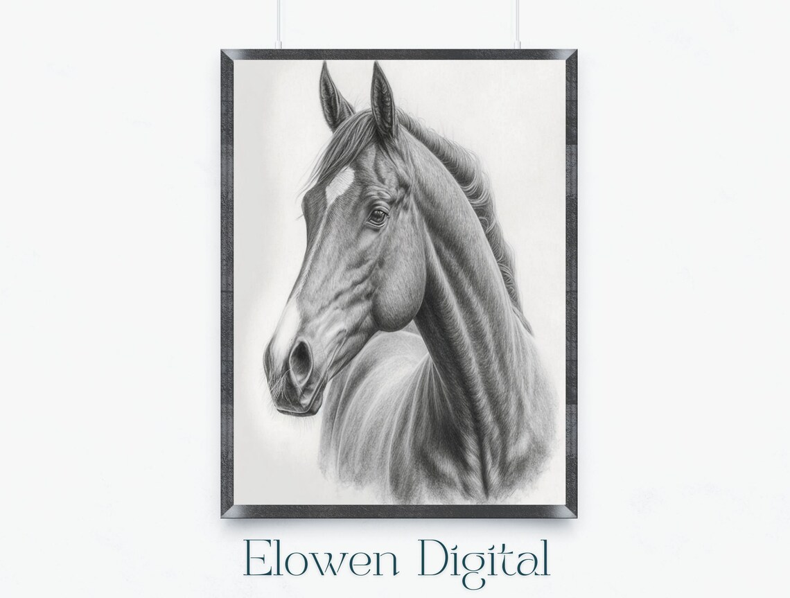 Realistic Pencil Sketch of Majestic Horse Head Study Art Poster