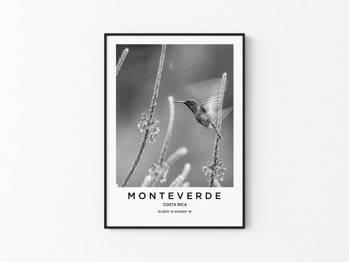 Monteverde Travel Poster, Travel Map Print