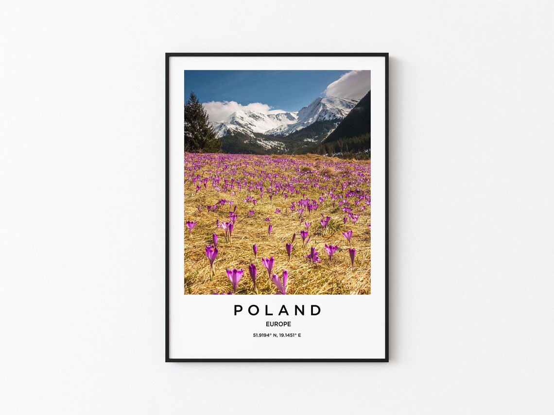 Poland Europe Purple Crocus Flower Field With Snowy Peaks Poster
