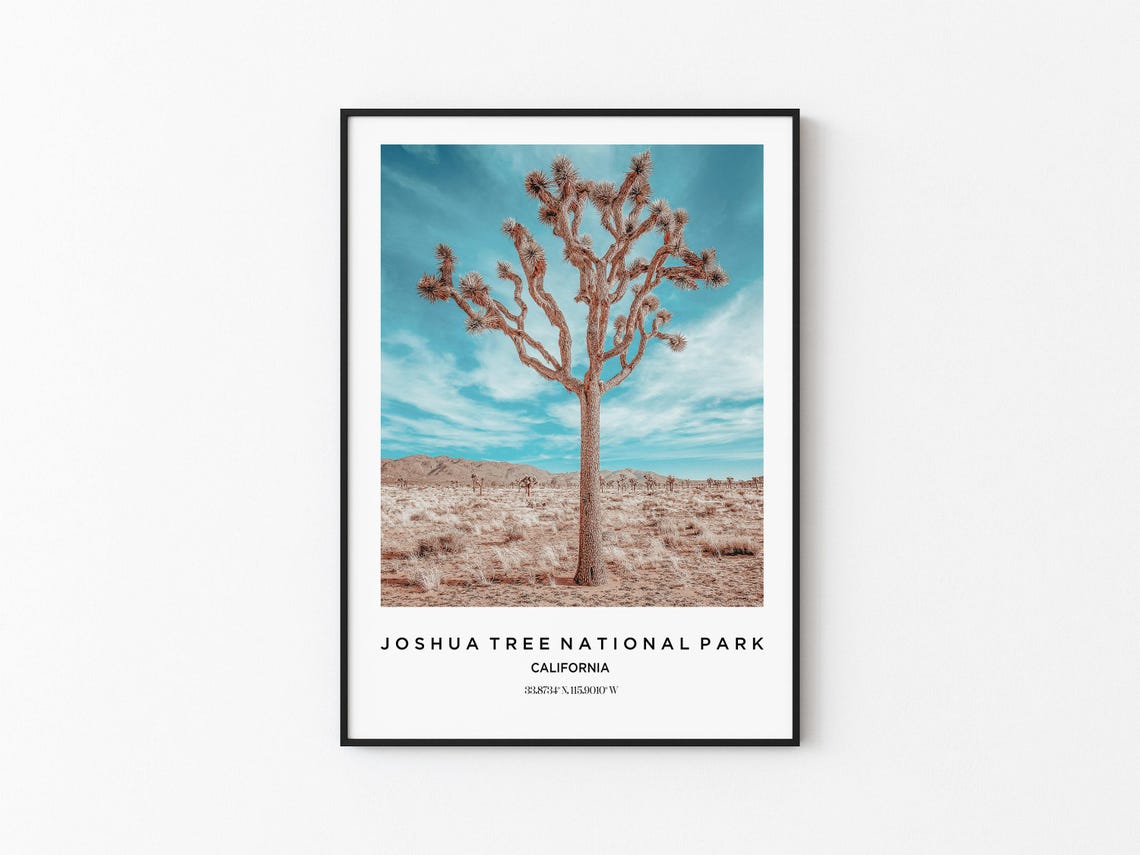 Joshua Tree National Park California Lonely Desert Tree Poster