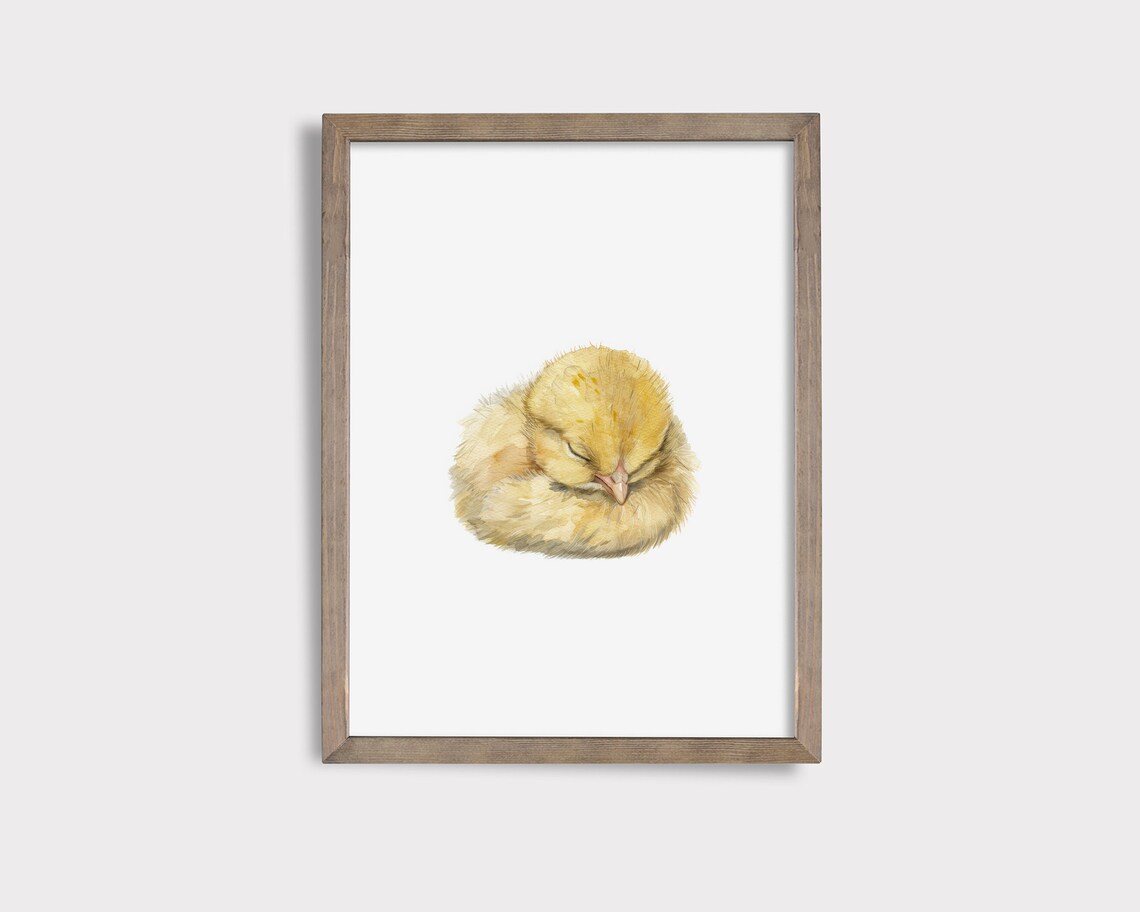 Sleeping Chick Nursery Print Chicken Nursery Decor Easter Nursery Decor Cute Animal Print Chick Nursery Wall Art Sleeping Chicken