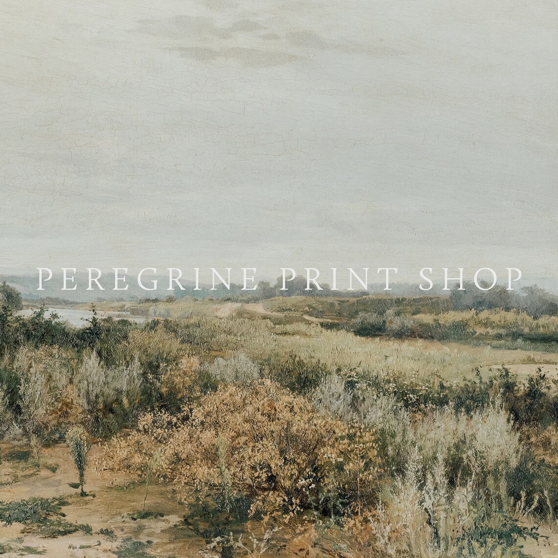 Desert Wildflowers French Country Landscape Art Print - Image 2
