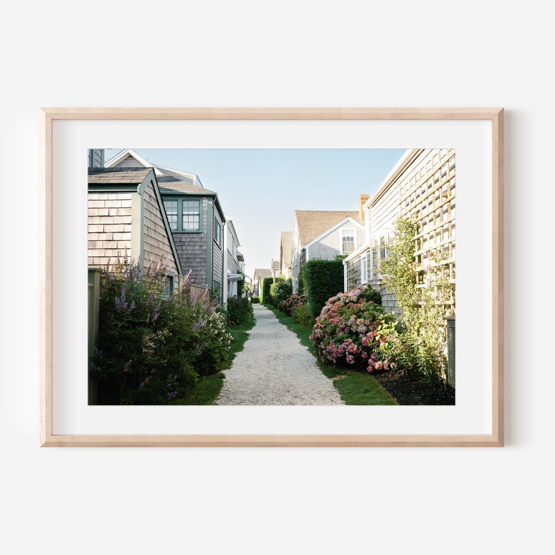 Charming Coastal Lane With Shingle Houses and Pink Hydrangeas Poster