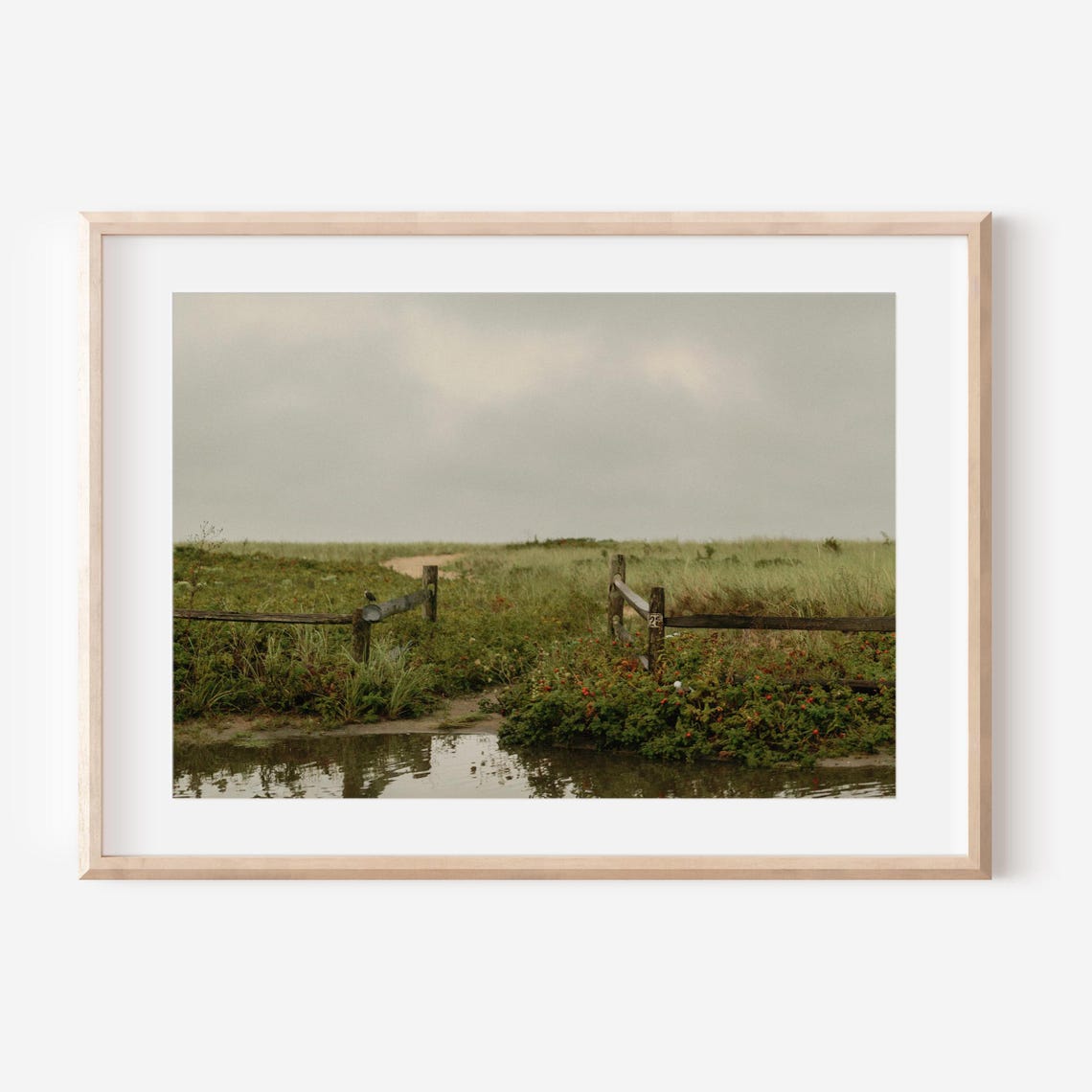 Marthas Vineyard Photography Print Mv Coastal Wall Art Dock Scene Photo New England Beach Decor Nautical Landscape Gift For Travelers