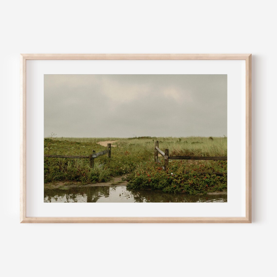 Rustic Wooden Fence Crossing a Marshy Dune Pond in Fog Poster