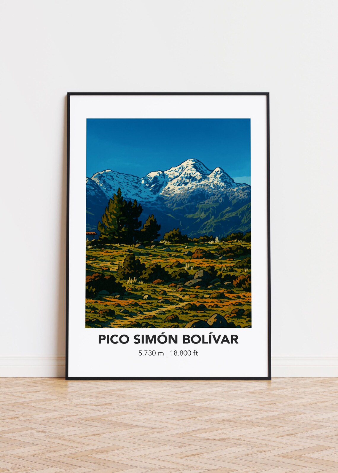 Pico Simón Bolívar Colombia Snowy Peak Páramo Landscape Poster
