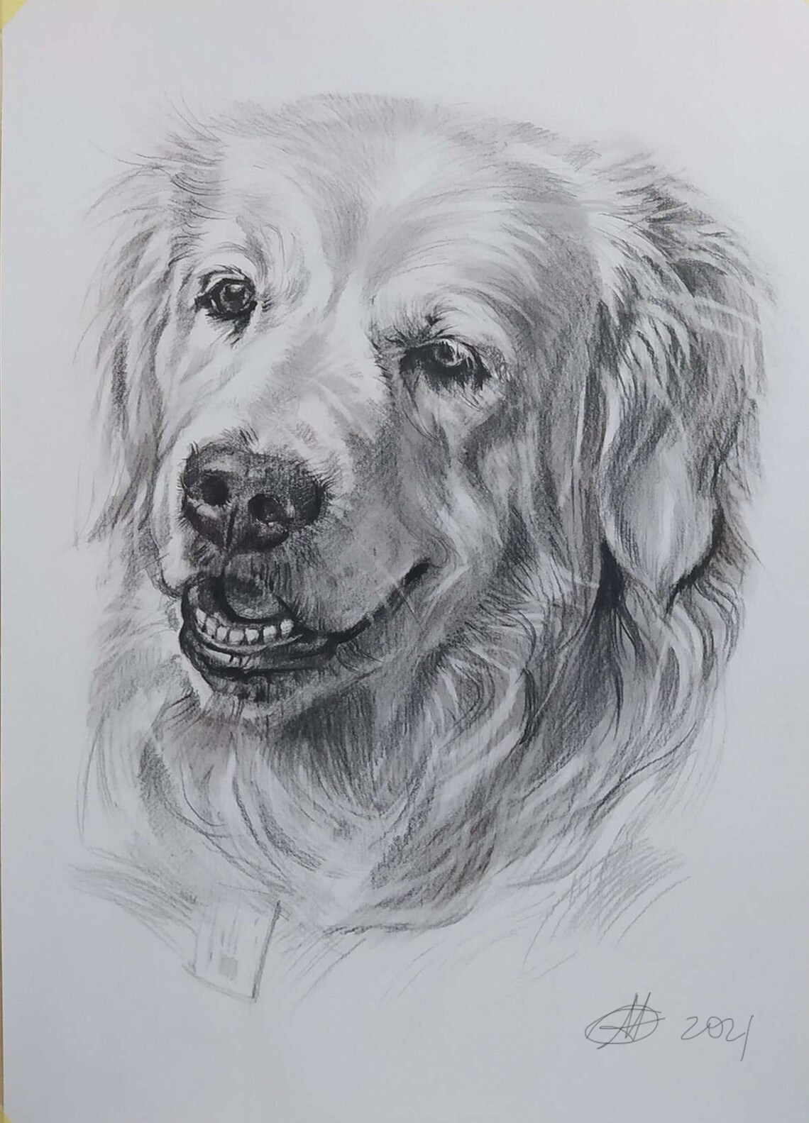 Custom Golden Retriever Pet Portrait, Dog Art - Image 2