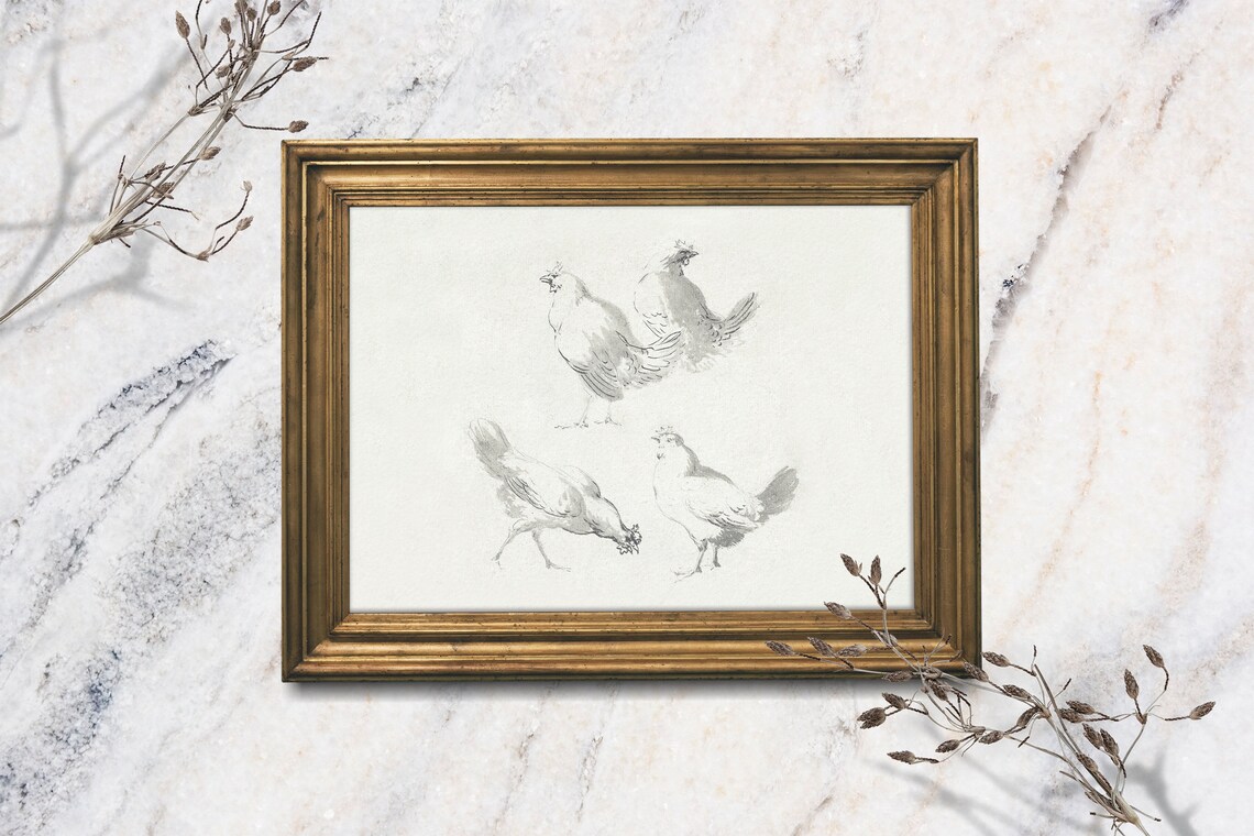 Vintage Hen Chicken Sketch Farmyard Birds Antique Drawing Art Print