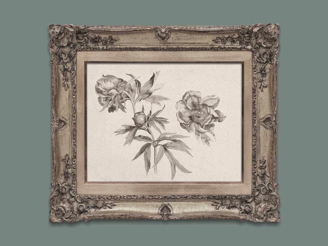 Vintage Peony Botanical Sketch Antique Gray Floral Drawing Art Print - Image 2