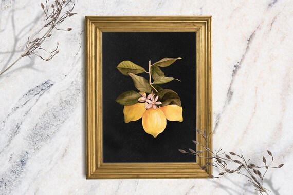 Moody Lemon Art Print Unframed Still Life Painting Original Fruit Art Print Farmhouse Dark Academia Print