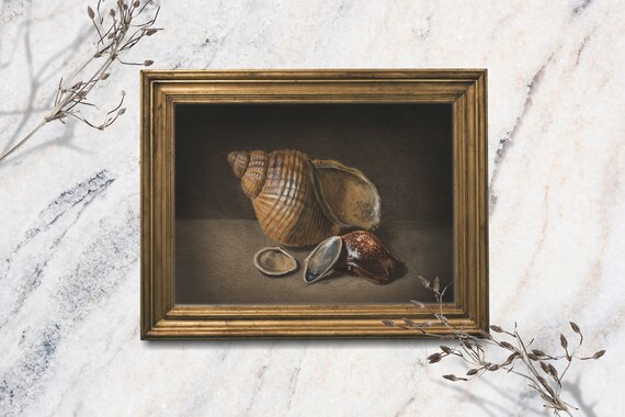 Moody Seashell Art Print Vintage Still Life Oil Painting Coastal Beach House Wall Decor Dark Academia Aesthetic Small Shelf Art