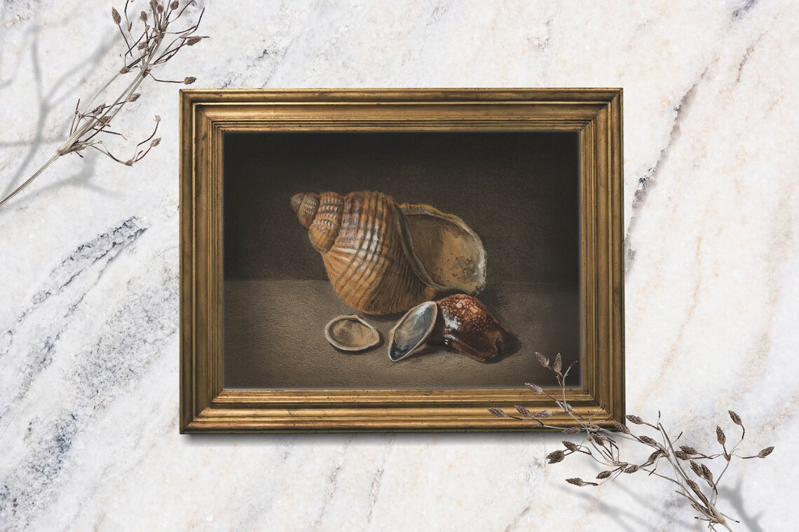 Moody Seashell Conch Still Life Dark Vintage Oil Painting Coastal Art Print