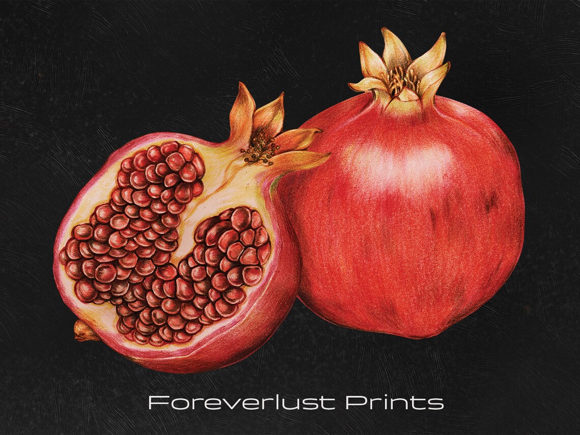 Moody Pomegranate Still Life Whole and Cut Fruit Botanical Oil Painting Print - Image 2
